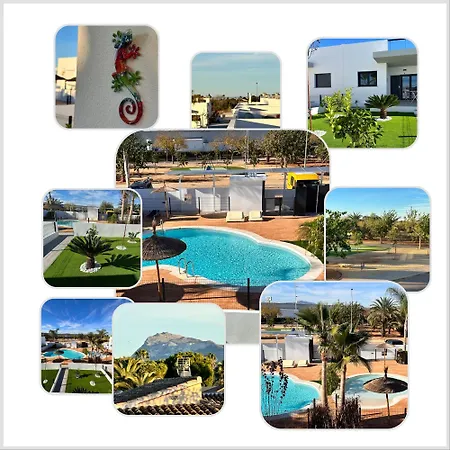 Purrfecta - El Verger Villa